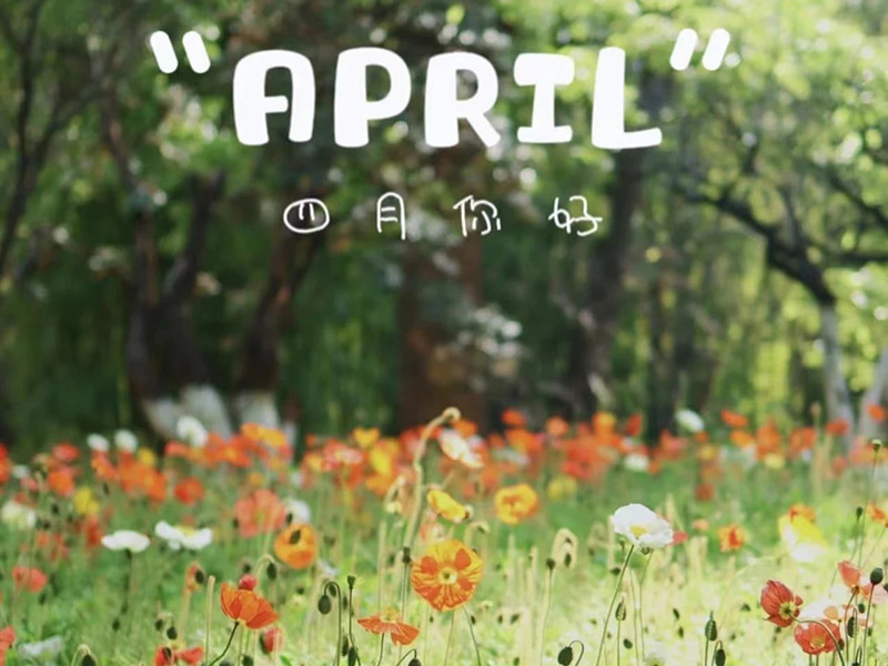 Születésnapi üdvözlet 丨Boldog születésnapot kívánunk azoknak, akik áprilisban születtek